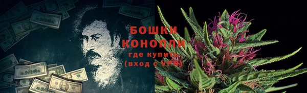 сатива Кулебаки