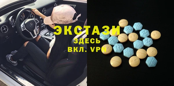 сатива Кулебаки