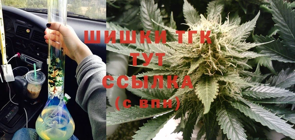 сатива Кулебаки