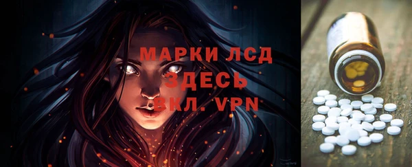 сатива Кулебаки