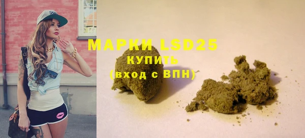 сатива Кулебаки