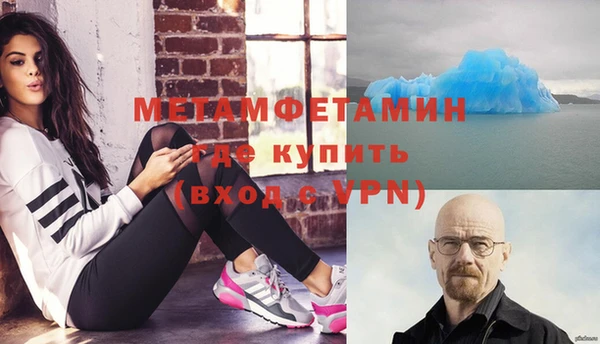 сатива Кулебаки