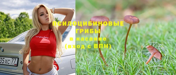 сатива Кулебаки