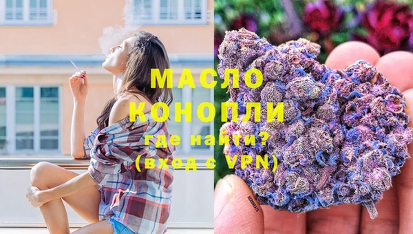 твердый Краснослободск