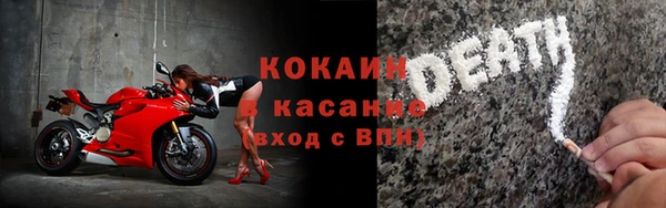 сатива Кулебаки