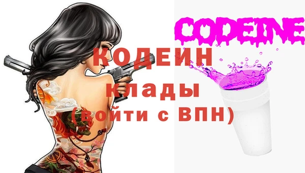 твердый Краснослободск