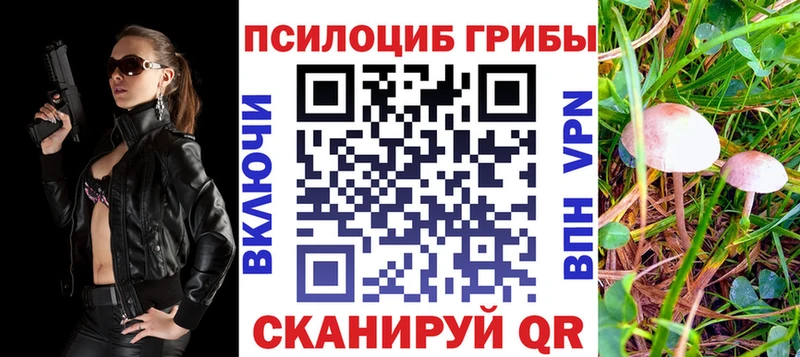 Галлюциногенные грибы Cubensis  Купить где  Ростов 